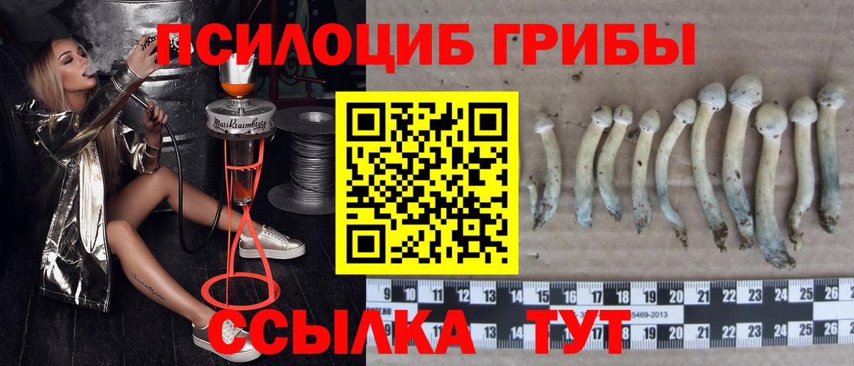 Метамфетамин  ГАШИШ  Вход с VPN  Кокаин  МЕФ кристаллы  Лесозаводск  MDMA  Каннабис 